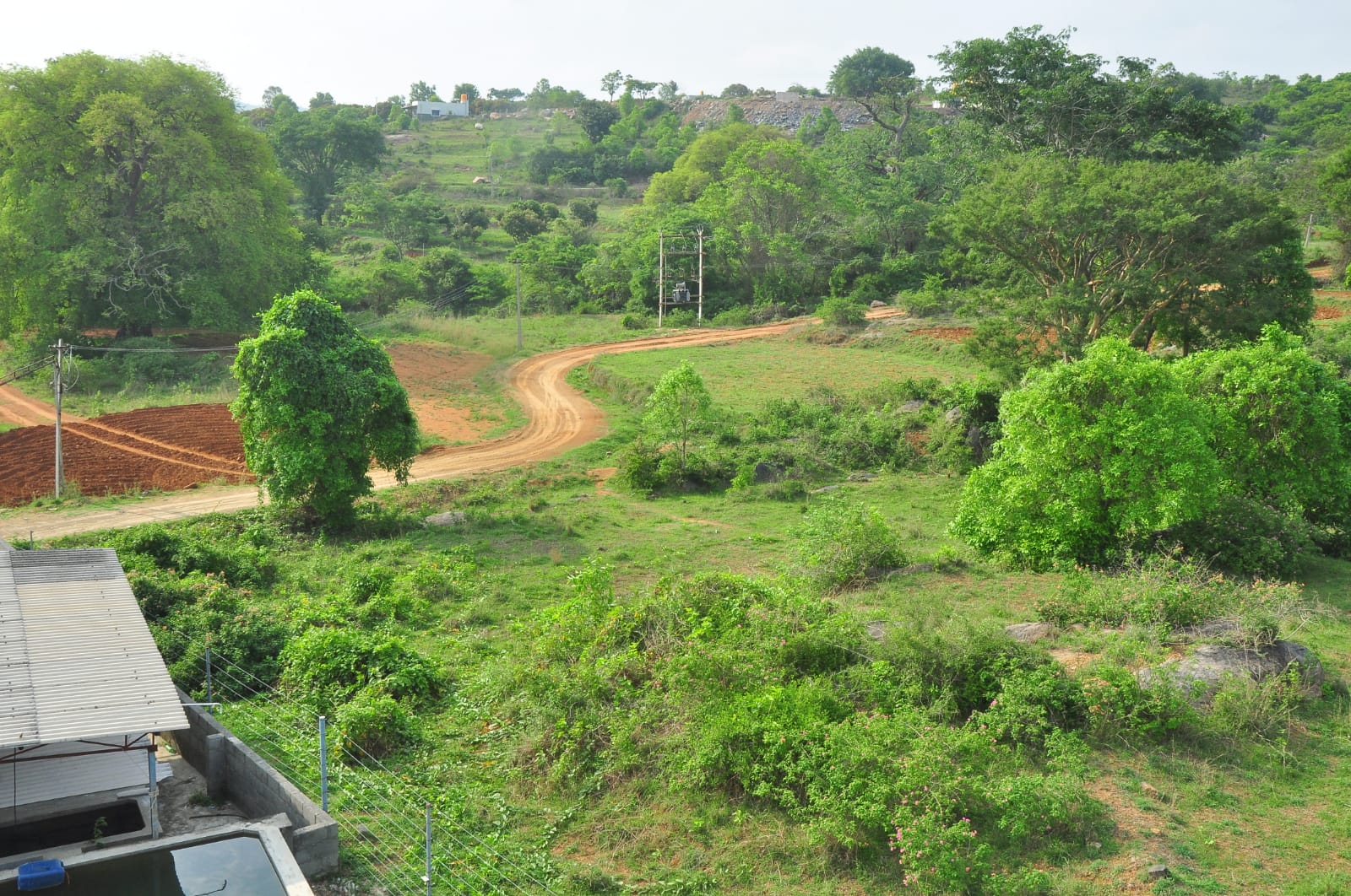 WhatsApp Image 2024-06-10 at 9.59.08 PM