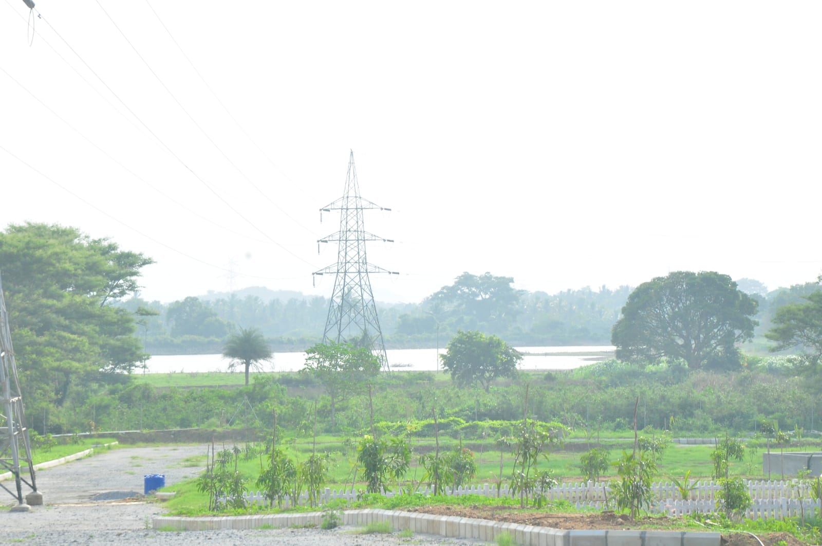 WhatsApp Image 2024-06-10 at 9.59.10 PM (1)