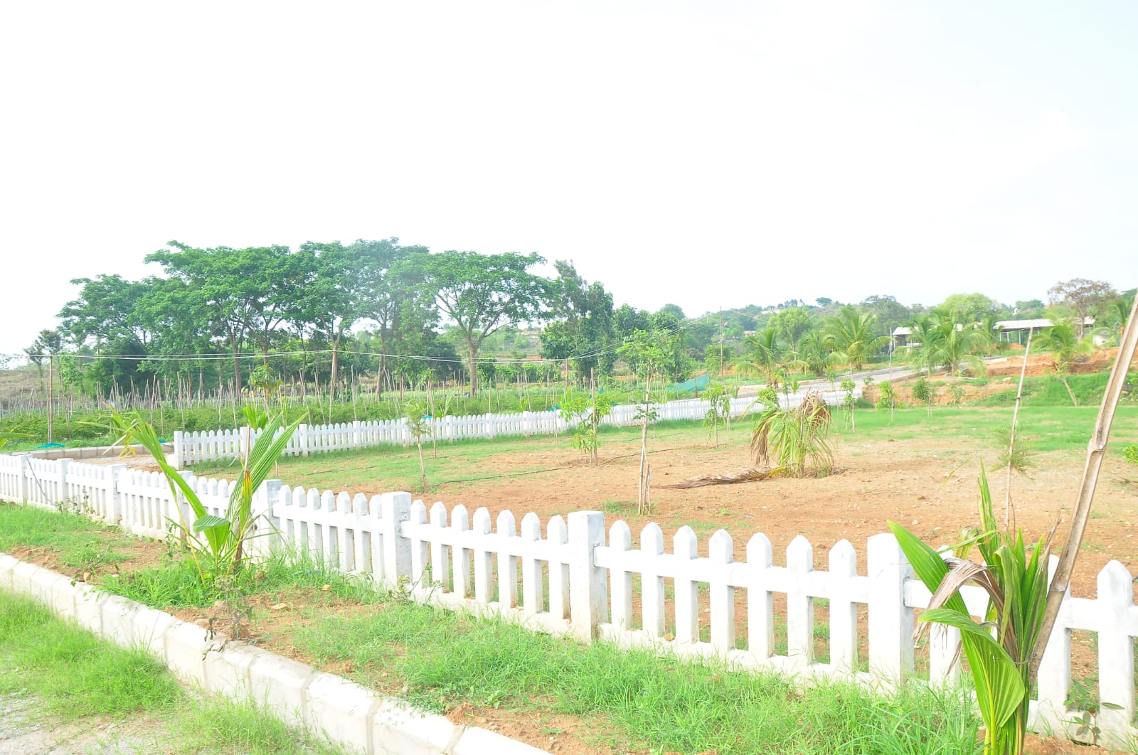 WhatsApp Image 2024-06-10 at 9.59.10 PM