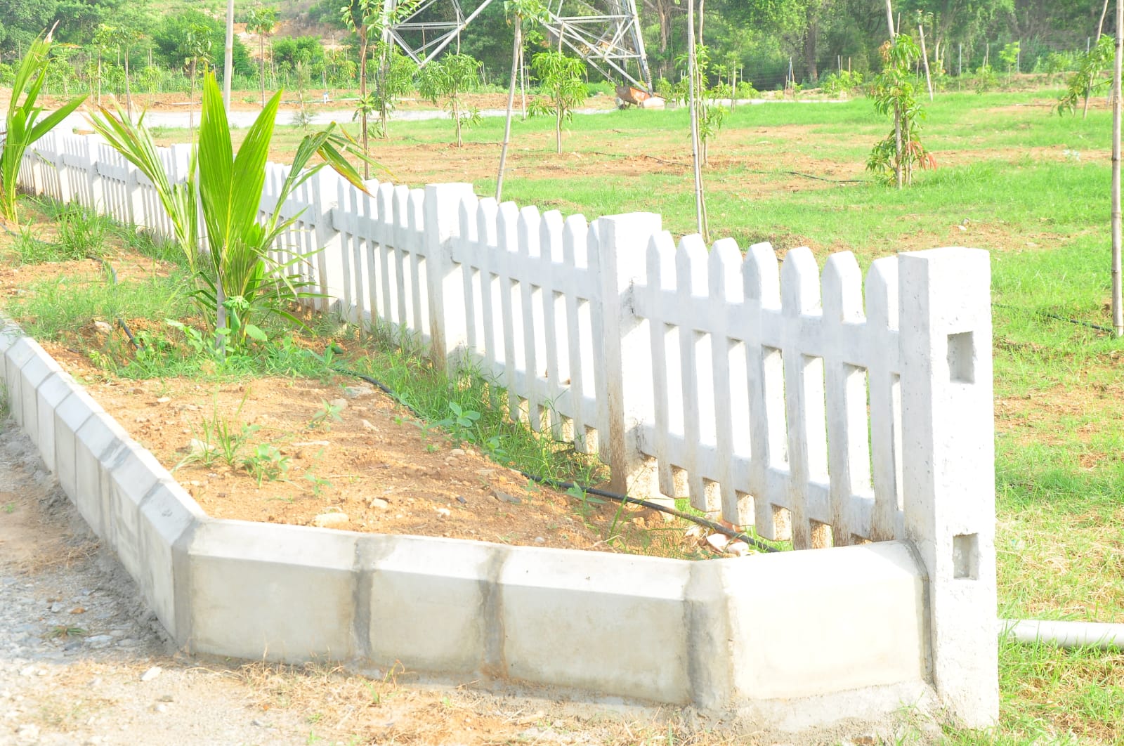 WhatsApp Image 2024-06-10 at 9.59.11 PM (1)