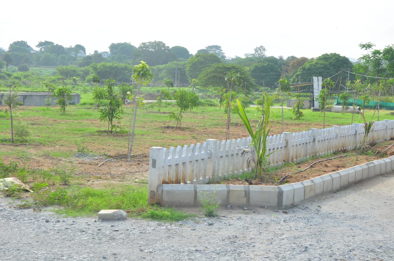 WhatsApp Image 2024-06-10 at 9.59.11 PM