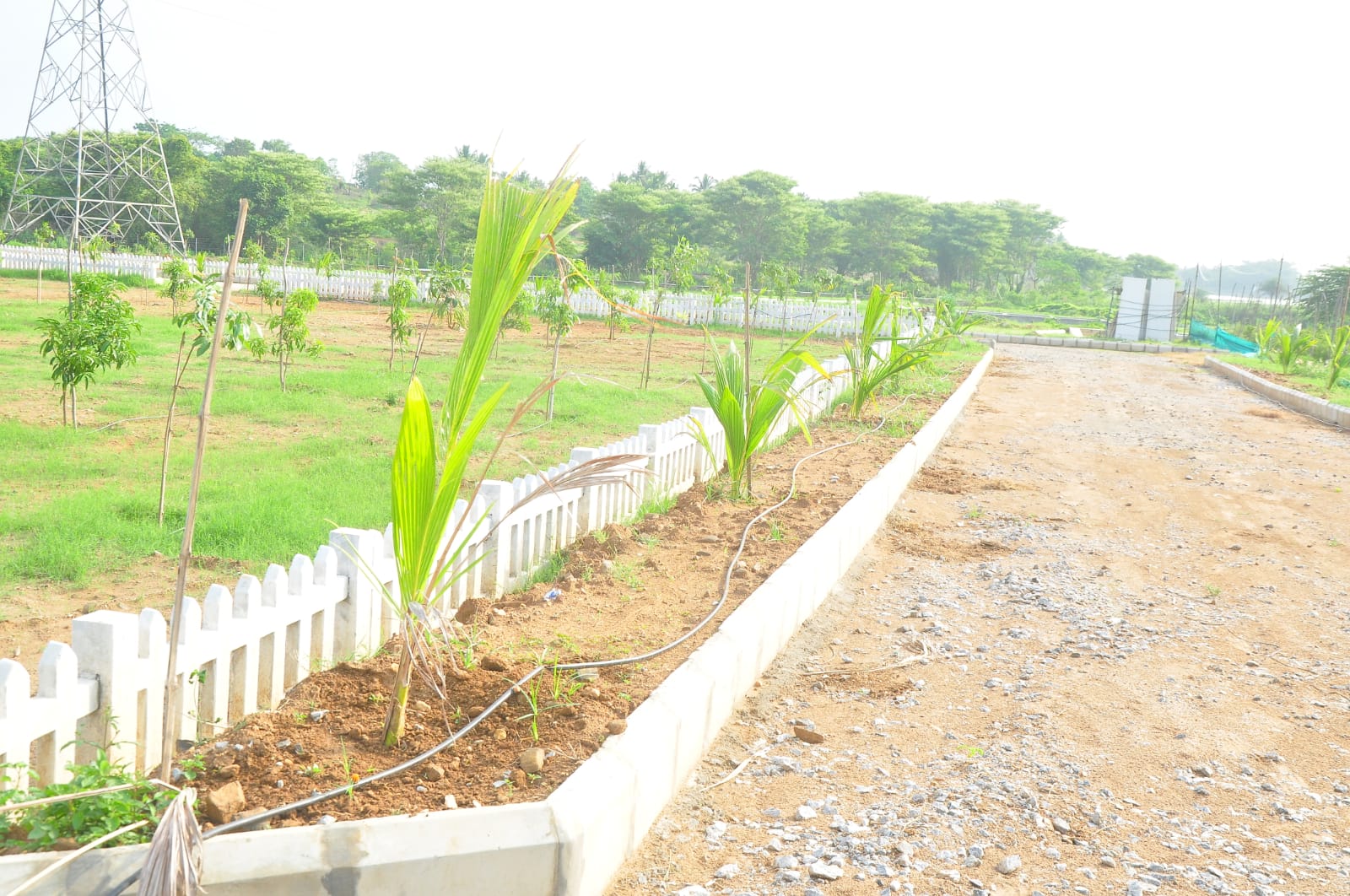 WhatsApp Image 2024-06-10 at 9.59.12 PM